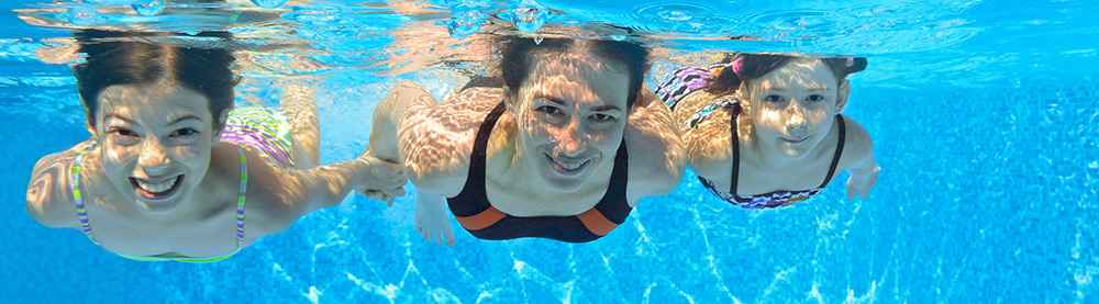 underwater view swimmers
